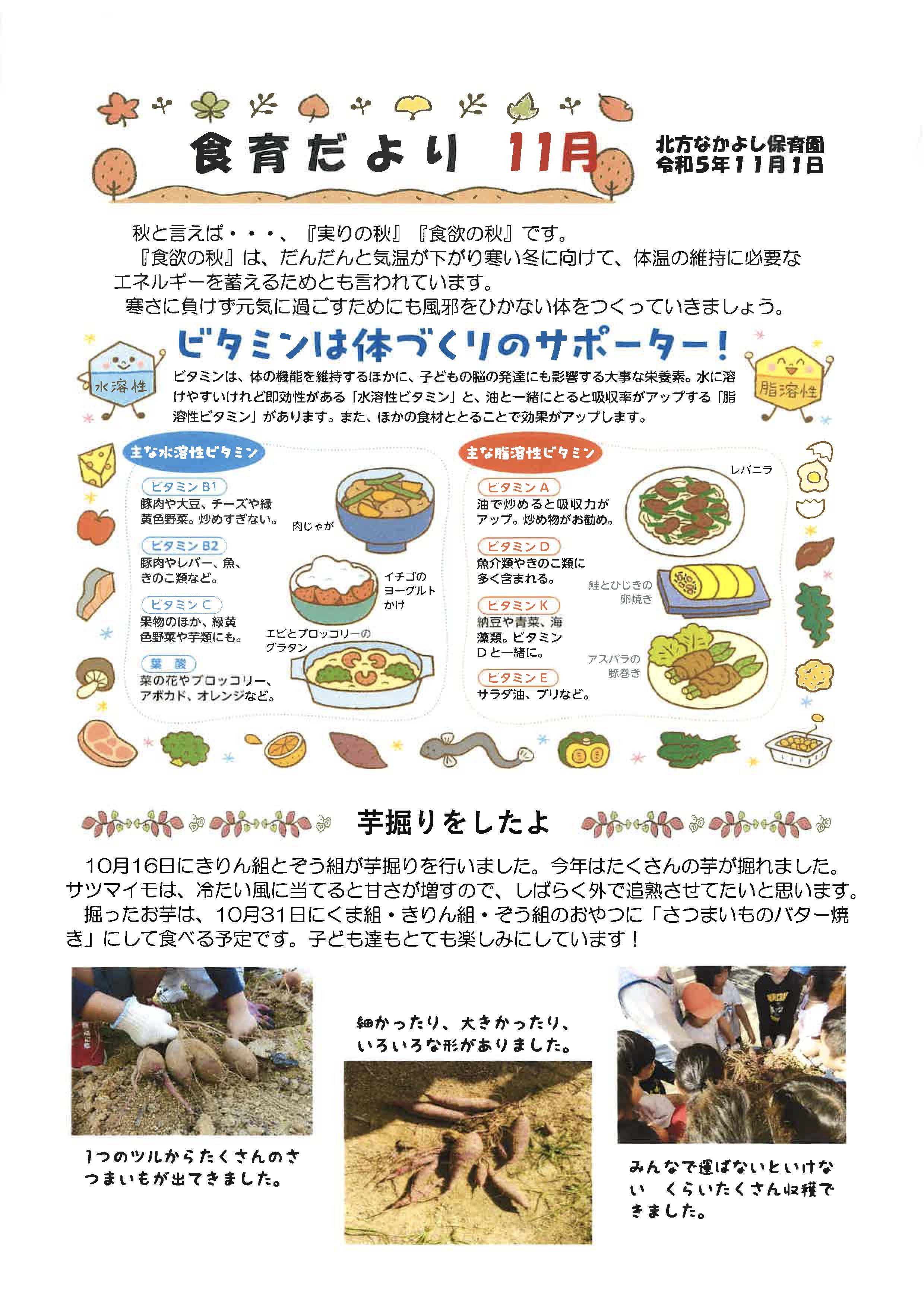 給食だより11月号